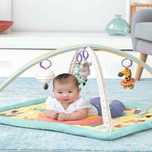 Skip Hop ABC & ME Activity Gym - Image 3