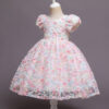 Party Wear Dresses
