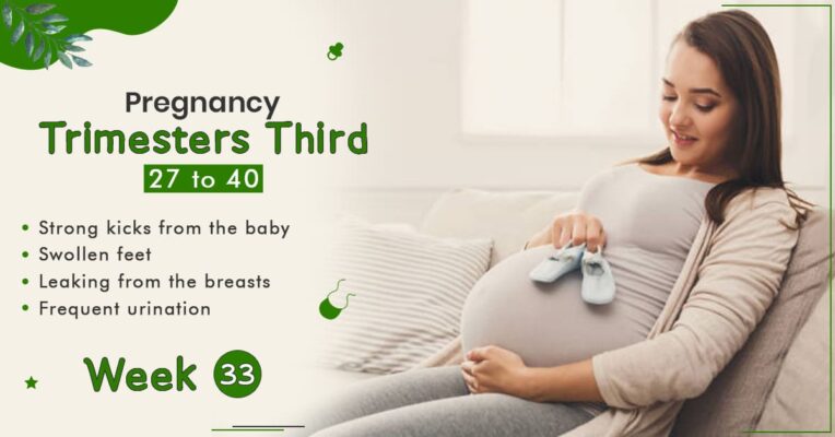 Pregnancy Trimester 3 Week 33, week 33