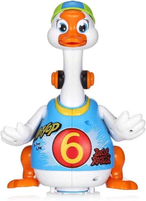 Hola Swing Goose