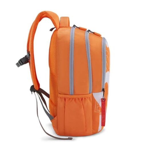 Kids School Bags
