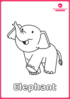 Elephant